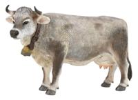 Collecta speeldier alpenkoe 12,8 ABS grijs - thumbnail