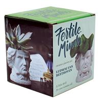 UPG Planter - Ludwig von Beethoven - thumbnail