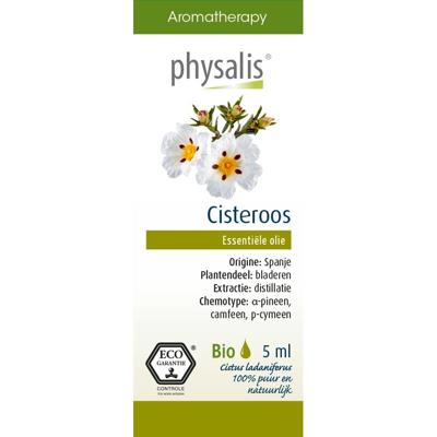 Physalis Cisteroos Olie 5ml