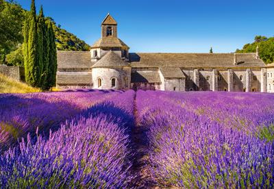 Lavender Field In Provence France (1000 Stukjes) - Puzzel;Puzzel (5904438104284)