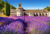 Lavender Field In Provence France (1000 Stukjes) - Puzzel;Puzzel (5904438104284) - thumbnail