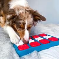 Nina Ottosson dog brick turquoise / rood - thumbnail
