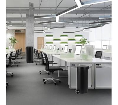 Pedaalemmer brasq 30 liter zwart