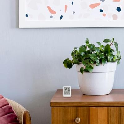 TFA Dostmann 30.5060.02 Thermo- en hygrometer Wit