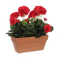 Decoratieve plant Mica Decorations Keramisch Rood PVC (29 x 13 x 40 cm) - thumbnail