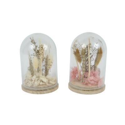 Daan Kromhout Droogbloemen in stolp wit/roze 16 cm 2 assorti | 6 stuks