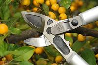 Felco Takkenschaar 231 - Meuwissen agro - thumbnail