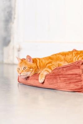 Designed by Lotte Kattenkussen VELVETI roze