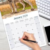 Duitse Staande Kalender 2026 - thumbnail