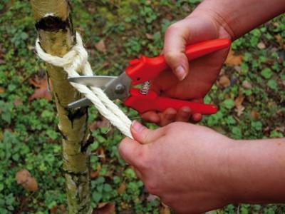 Bessey Combischaar recht D48 - D48