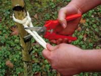 Bessey Combischaar recht D48 - D48 - thumbnail