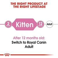 Royal Canin Kitten natvoer kat (in gelei) 2 dozen (24 x 85 g) - thumbnail