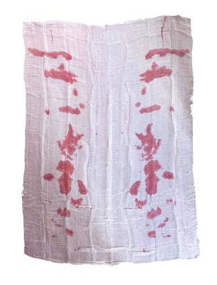 Tafelkleed bloed 213x152 cm