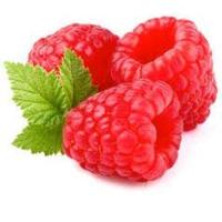 Tandpasta kids bio 75 Milliliter - thumbnail