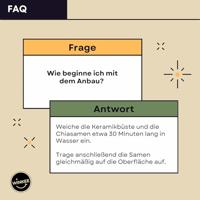 Einstein bloempot met zaadjes - thumbnail