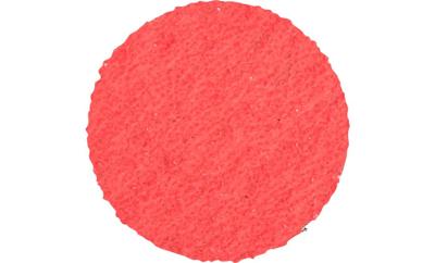 PFERD TOOLS CDR 50 CO-COOL 36 42776503 Schuurblad Korrelgrootte (num) 36 (Ø) 50 mm 100 stuk(s)