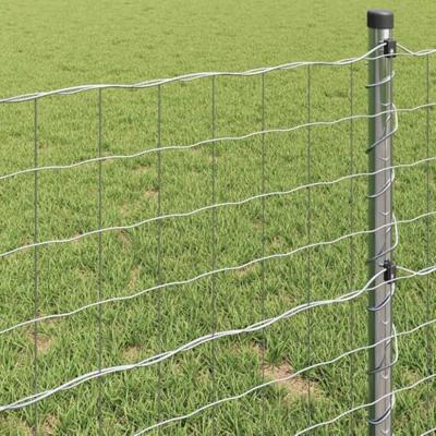 Euro Hek Zilver 1.4 x 10 m Warmverzinkt ijzer