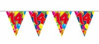 Vlaggenlijn Leeftijd 14 Jaar - 10 meter - thumbnail