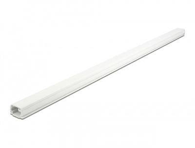 Delock 20720 Kabelgoot PVC Wit (l x b x h) 1 m x 22 mm x 15 mm 1 stuk(s) Delock 20720 Kabelgoot PVC Wit (l x b x h) 1 m x 22 mm x 15 mm 1 stuk(s)