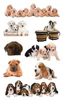 Avery AV-55972 Papieretiket Z-design Kids Pakje A 3 Vel Honden Foto - thumbnail