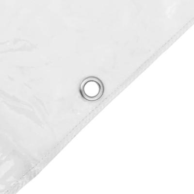 VidaXL Doorzichtig zeildoek met zeilringen 6x10 m pvc
