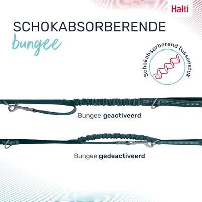 Hondenriem Company of Animals Turkoois L