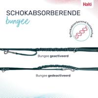 Hondenriem Company of Animals Turkoois L - thumbnail