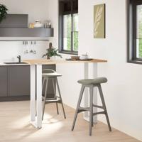 Bartafelpoten 2 st U-vormig 50x(100-101) cm staal wit - thumbnail
