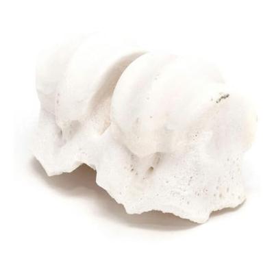 Hondensnoepjes Gloria Knokkels Calcium