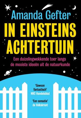 In Einsteins achtertuin - Amanda Gefter - ebook