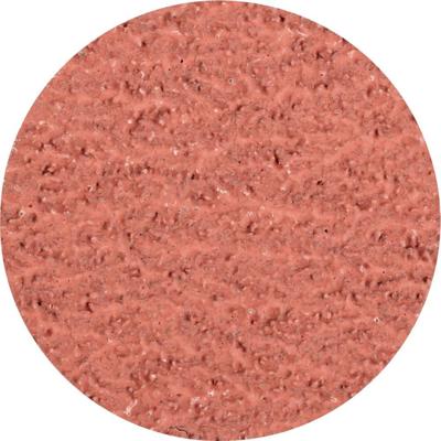 PFERD TOOLS CDR 50 A-COOL 36 42772503 Schuurblad Korrelgrootte (num) 36 (Ø) 50 mm 100 stuk(s) PFERD TOOLS CDR 50 A-COOL 36 42772503 Schuurblad Korrelgrootte (num) 36 (Ø) 50 mm 100 stuk(s)