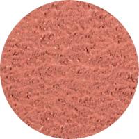 PFERD TOOLS CDR 50 A-COOL 36 42772503 Schuurblad Korrelgrootte (num) 36 (Ø) 50 mm 100 stuk(s) - thumbnail