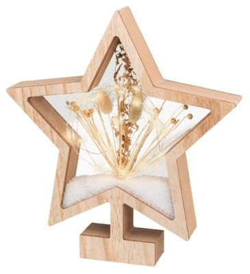 Ornament Hout met Droogbloem 25 LED Ster