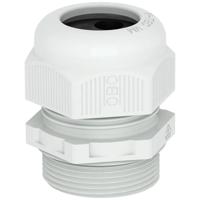 OBO Bettermann 2022126 Wartel 1.5 mm Kunststof, PA 25 stuk(s) - thumbnail