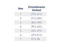 Bauerfeind SacroLoc Bekkenbrace - 1 - Grijs - thumbnail