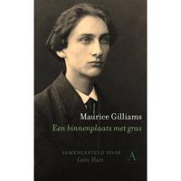 Een binnenplaats met gras (Paperback) - thumbnail