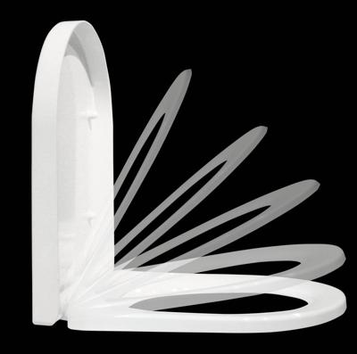 Best Design Litza Toiletzitting Best Design Litza Toiletzitting