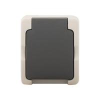 Ac Wandcontactdoos 2P+RA - thumbnail