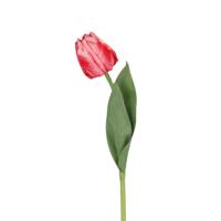 Tulp Kunstbloem 48cm Rood/Cerise - thumbnail