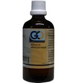 GO Aesculus hippocastanum bio (100 ml) GO Aesculus hippocastanum bio (100 ml)