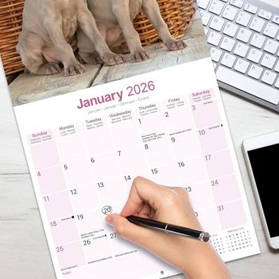 Weimaraner Calendar 2026 Square Dog Breed Wall Calendar - 16 Month