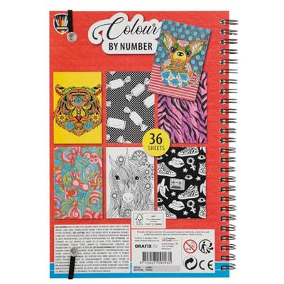 Grafix Kleuren op nummer kleurboek met kleurpotloden.