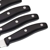 MasterClass - Set van 6 luxe steakmessen - Masterclass - thumbnail