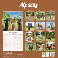 Alpaca Kalender 2026 - thumbnail