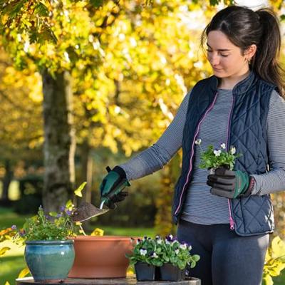 Bosch Home and Garden 06008B5300 Handspaan Werkbreedte 85 mm