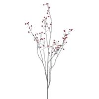 Rose hip branche rood 134 cm kunsttak Buitengewoon de Boet - Buitengewoon de boet - thumbnail