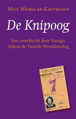 De knipoog - Mily Weisglas-Kaufmann - ebook