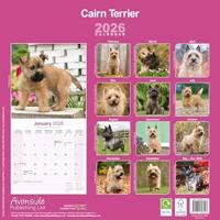 Cairn Terrier Kalender 2026 - thumbnail