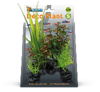 Deco plant s rotala - thumbnail