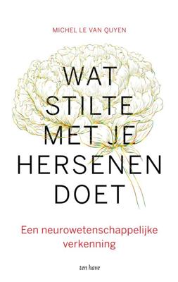 Wat stilte met je hersenen doet - Michel Le Van Quyen - ebook
